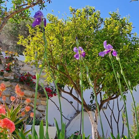Villa Arhondia House Ierápetra Esterno foto
