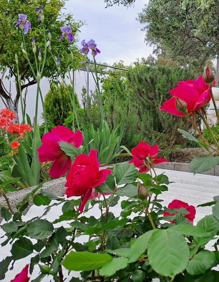 Villa Arhondia House Ierápetra Esterno foto