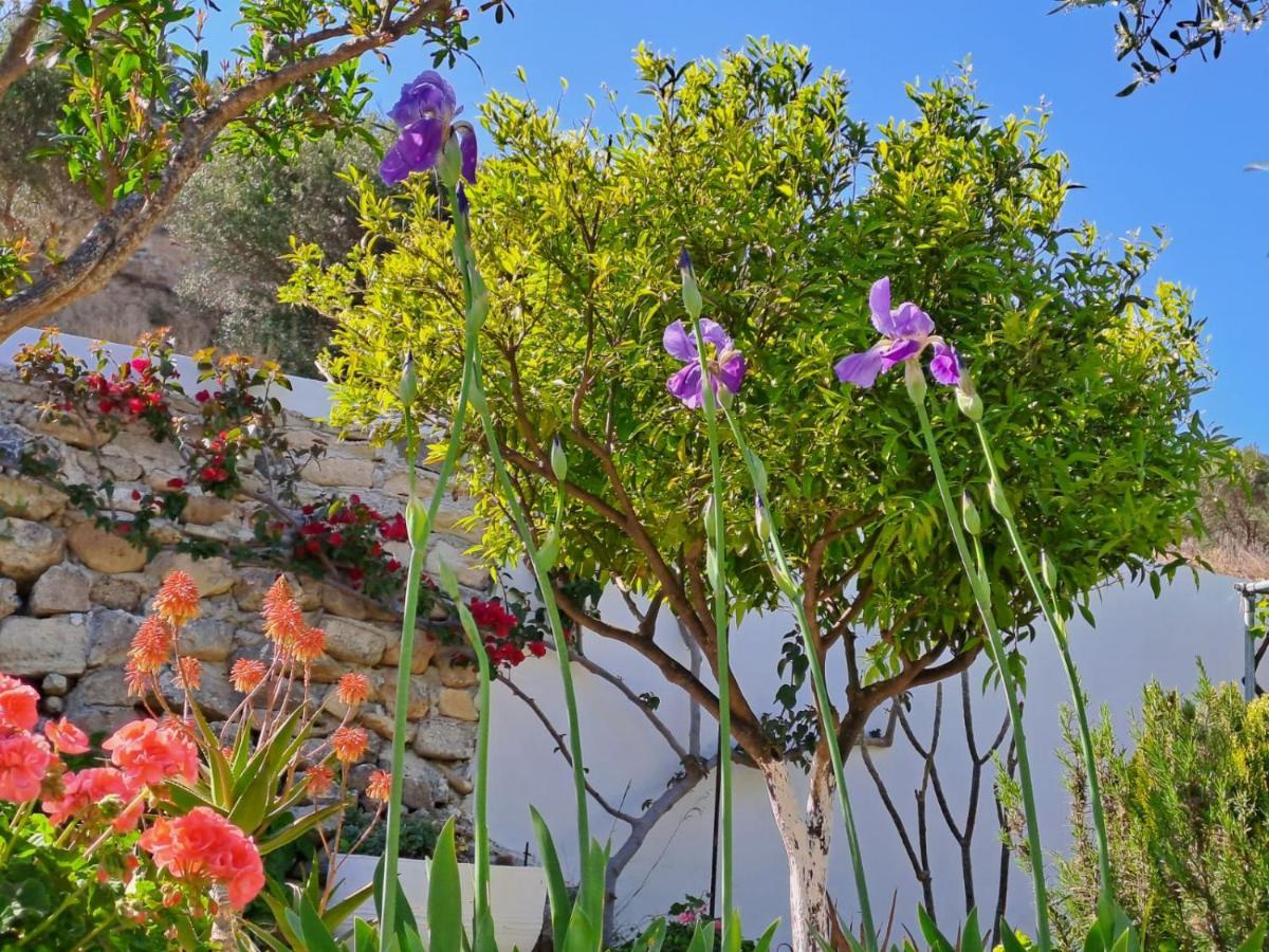 Villa Arhondia House Ierápetra Esterno foto